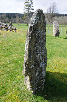 Surrounding Standing Stones