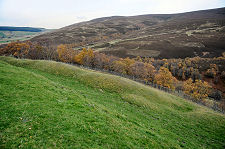 Valley and Earthworks