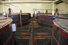 Some of the Washbacks