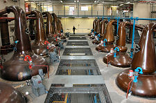 One of the Still Houses