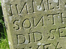 ...With Guidelines & Typos