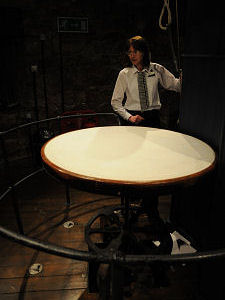 Camera Obscura in Operation