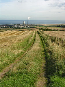 Looking Down Track to Car Park