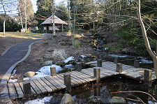 The Pond in the Garden