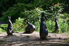 Peter Rabbit and Friends