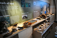 Wide Ranging Displays