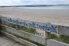 She Sells Sea Shells