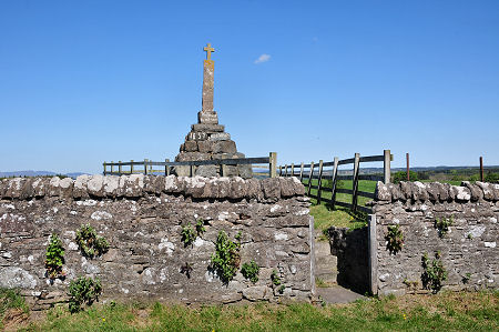 Viewed from Across the Road