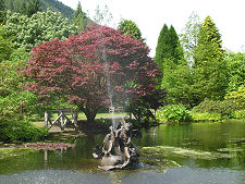 Pond and Fountain
