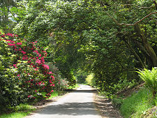 One of the Garden Paths