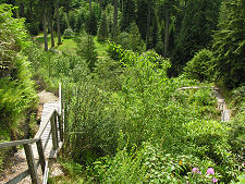 View Down One of the Steeper Paths