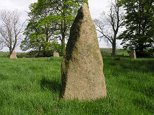 ...And a Pointed One