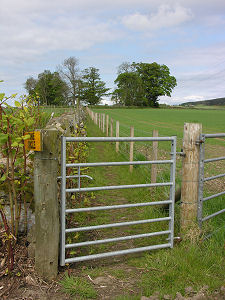 Field Path to the Copse & Circle