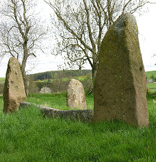 Recumbent & Flankers