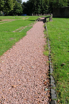 Main Path Through Site