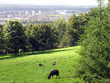 View from Upper Part of the Zoo
