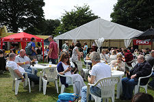 ...To Enjoy in the Sunshine