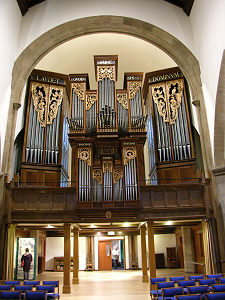 The Organ
