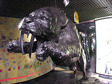 Casualties and Survivors: Sabre Tooth