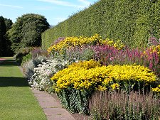 Herbaceous Border
