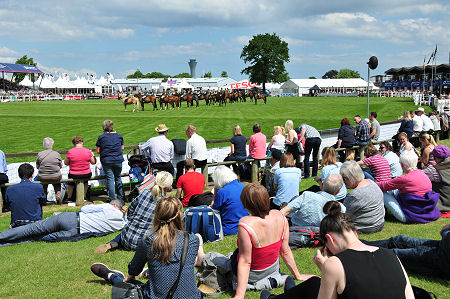 Crowds Enjoying the Show