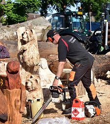 Chainsaw Carving