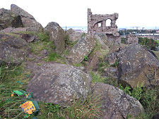 Smashed Buckfast Bottle