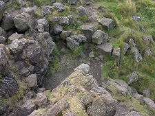 Gully Below the Chapel
