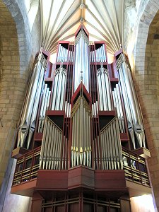 The Organ