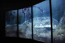 Barrel Ride: Inside the Mash Tun