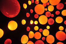 Barrel Ride: The Action of Yeast