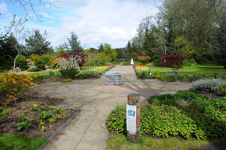 The Biblical Garden