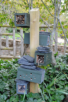 A Garden for Wildlife