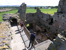 The Top of David's Tower