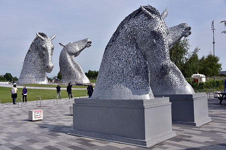 Both Pairs of Kelpies