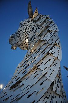A Mane in Evening Light