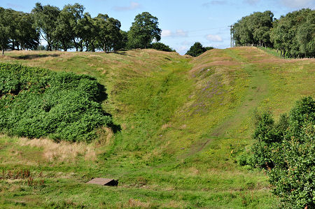 Wall West of the Burn in Summer