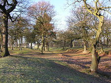 Less Well Defined Ditch, East of Fort