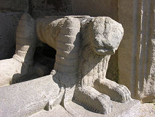 The Knight's Canine Companion