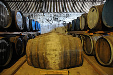Casks Full of Maturing Spirit