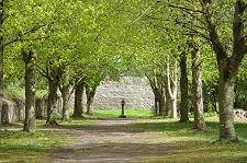 Avenue of Trees and Sundial