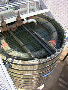 Wash Worm from Above