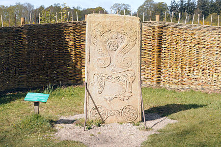 The Rear Face of the Stone