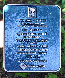 One of 50 Great Trees