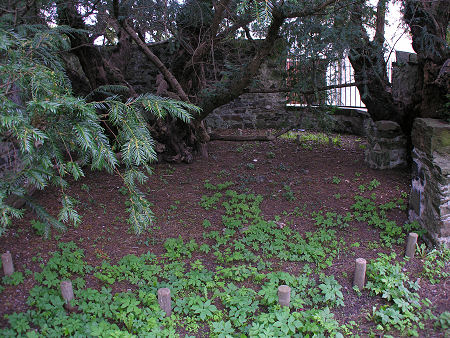 Inside the Enclosure