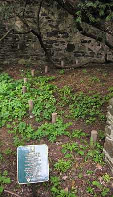 Posts Marking the Circumference