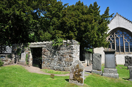 Another View of the Yew