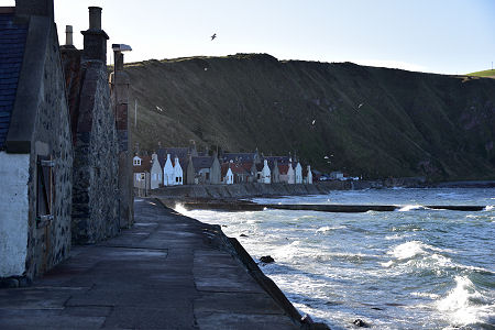 Looking South Along the Shore