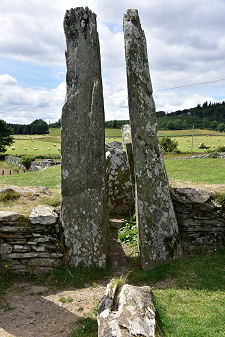 In a Different Light