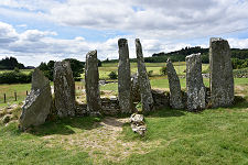 In a Different Light